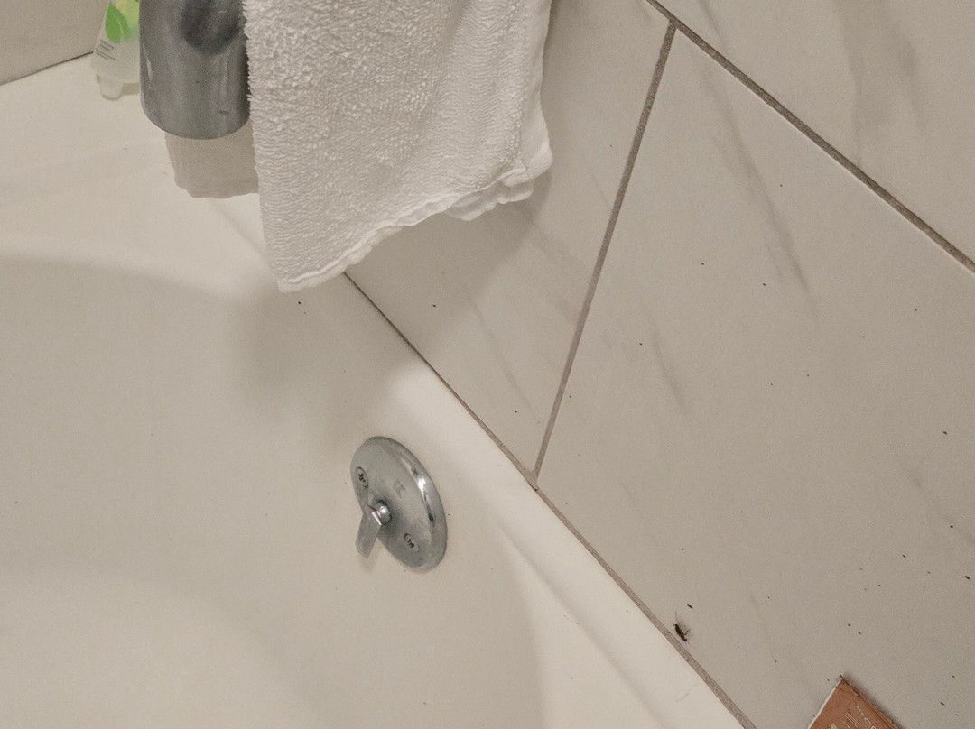 Ramada by Wyndham Harrisonburg主图