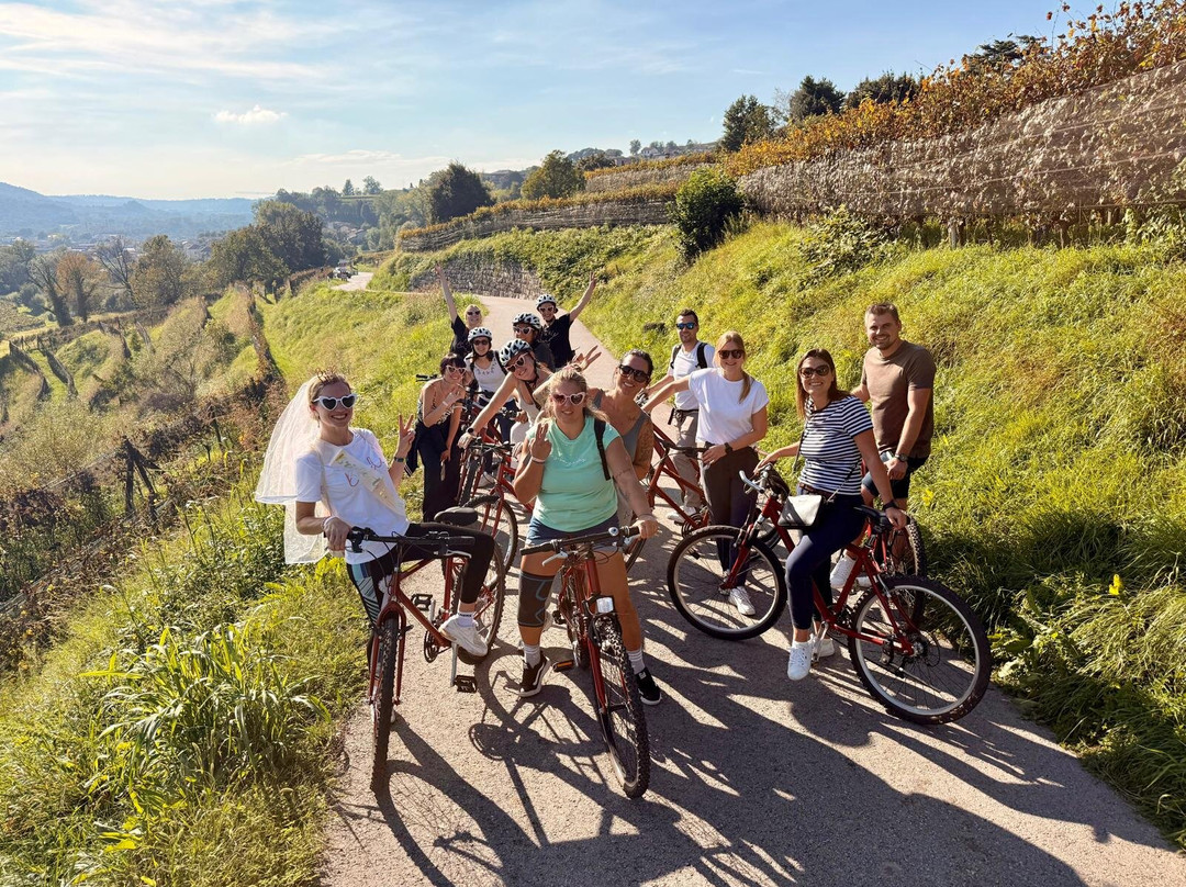 Mendrisiotto Terroir - Bike'n'Wine-Balerna必去景点