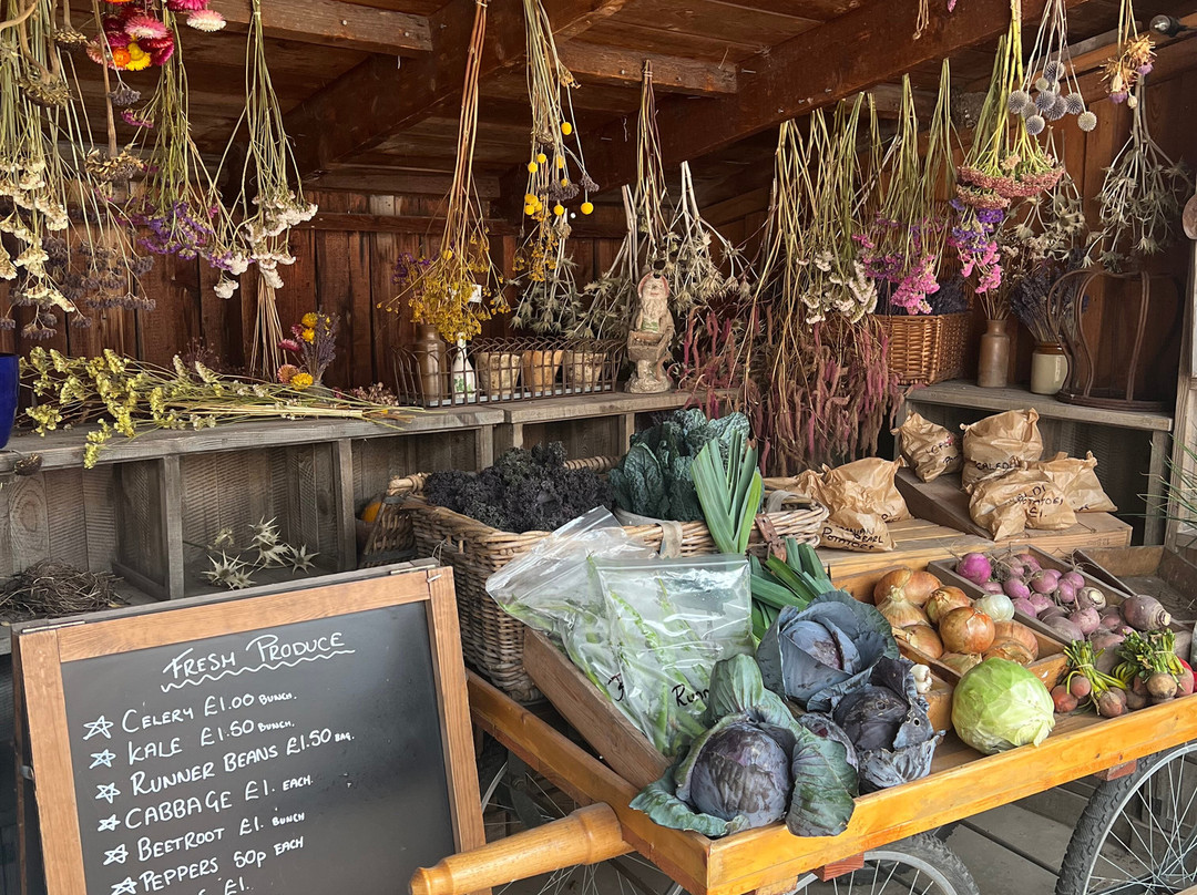 Gordon Castle Walled Garden-Fochabers必去景点