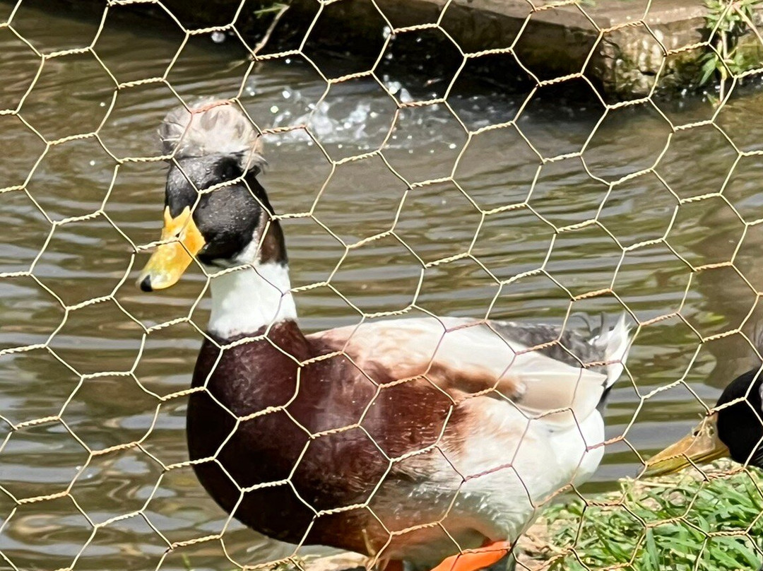 Zoo Das Aves-Pocos de Caldas必去景点