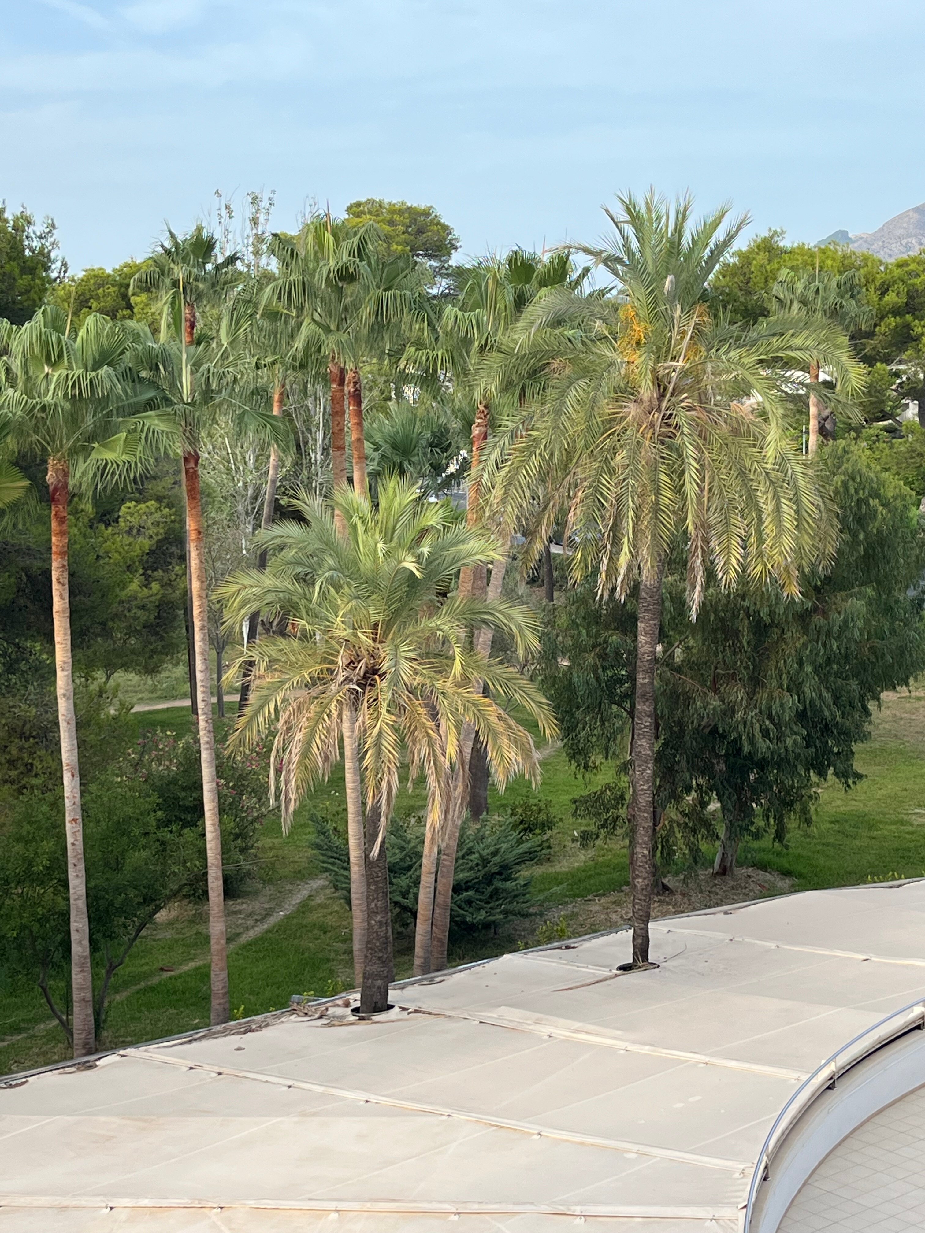 Grupotel Maritimo-浴室