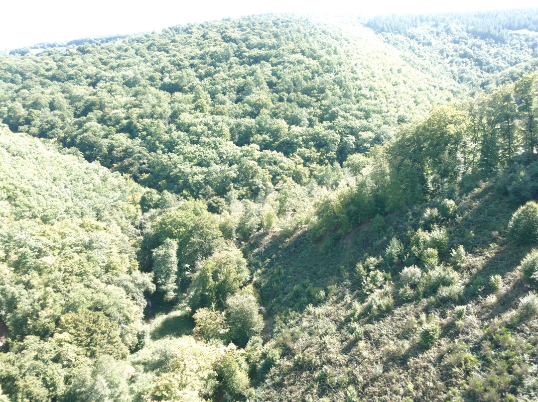 Hangeseilbrucke Geierlay-Moersdorf必去景点