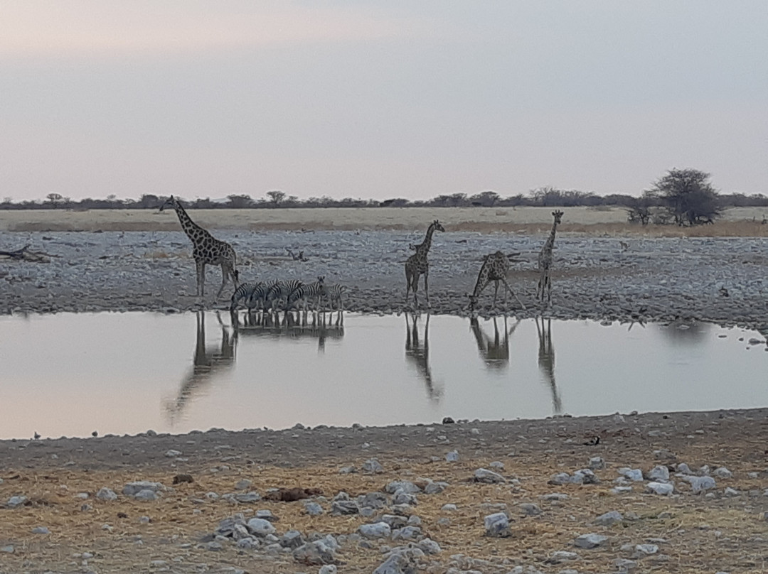 Etosha National Park