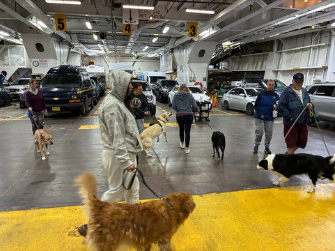 Alaska Marine Highway System-凯奇坎必去景点
