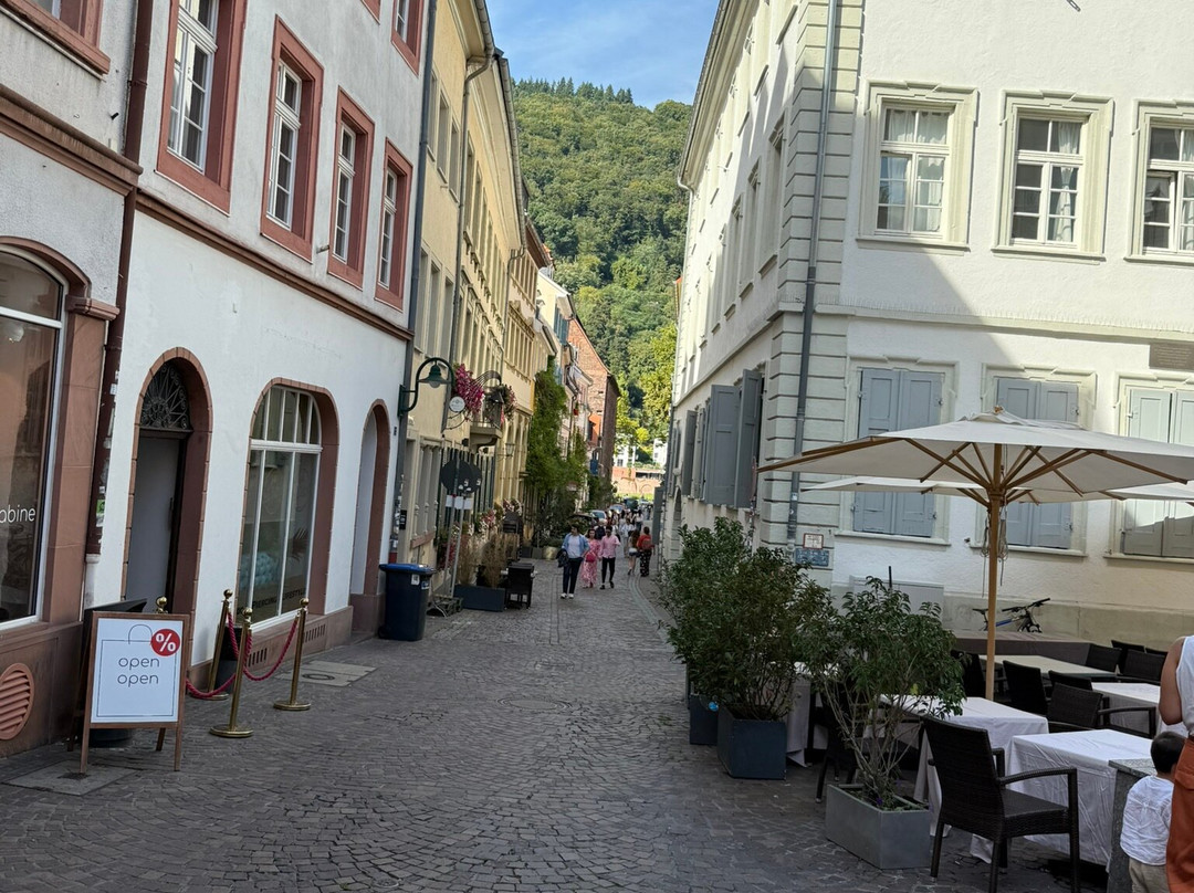 海德堡旧城区-海德尔堡必去景点