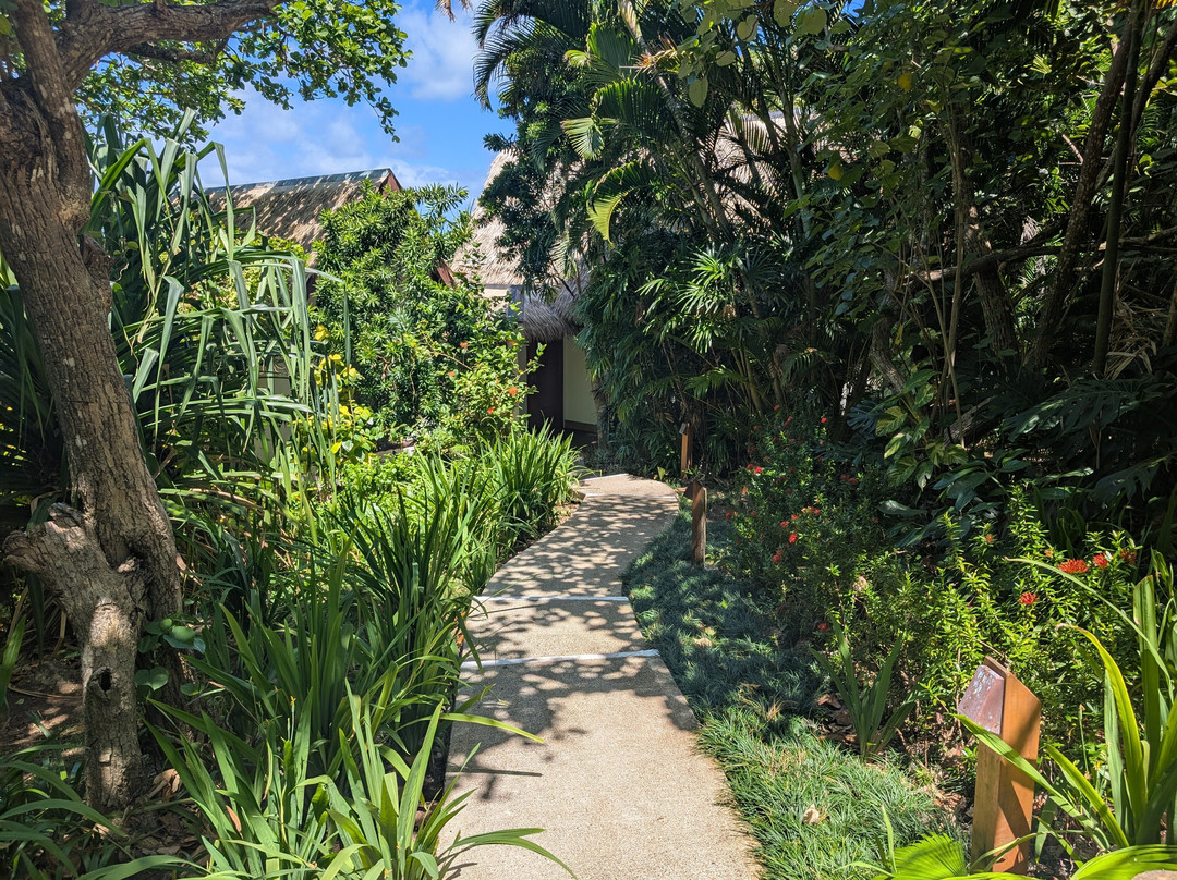 皇家达弗依岛度假村主图