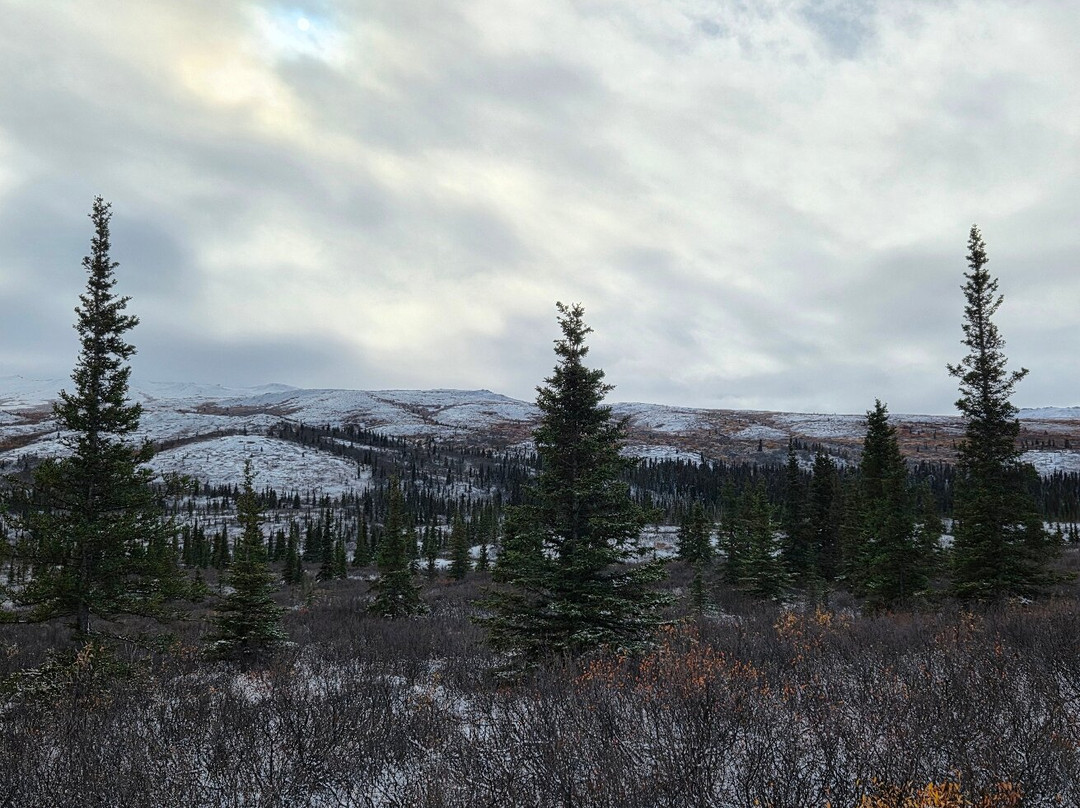 Denali National Park-阿拉斯加必去景点