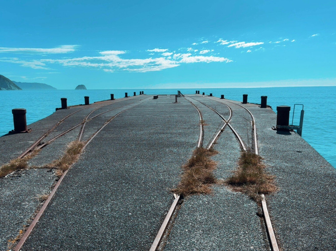Tolaga Bay Historic Wharf-Tolaga Bay必去景点