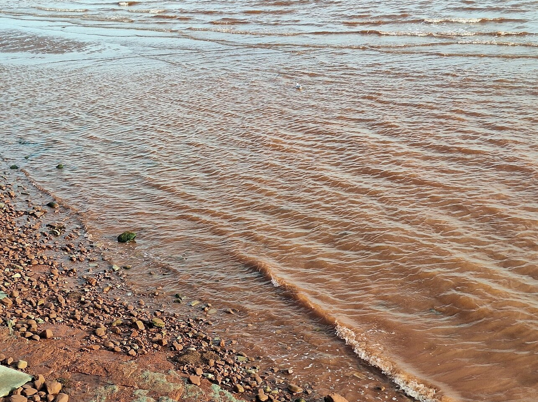 Argyle Shore Provincial Park-Bonshaw必去景点