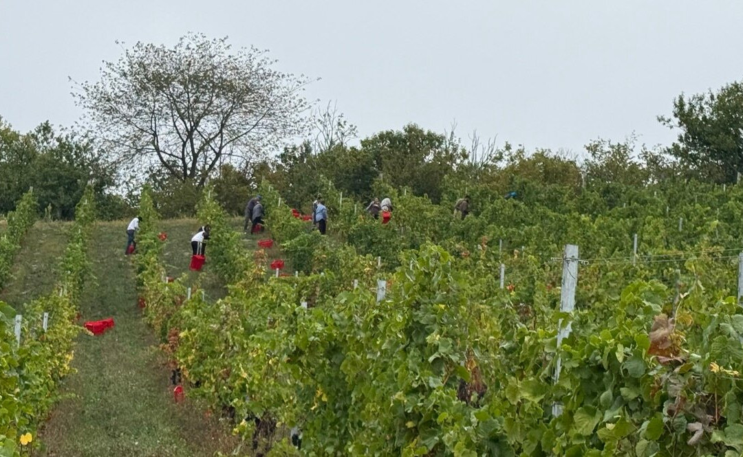 Podere Martina-Murazzano必去景点