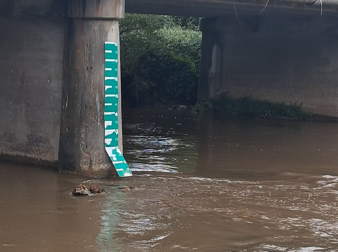 Pilot Mountain State Park-Pinnacle必去景点
