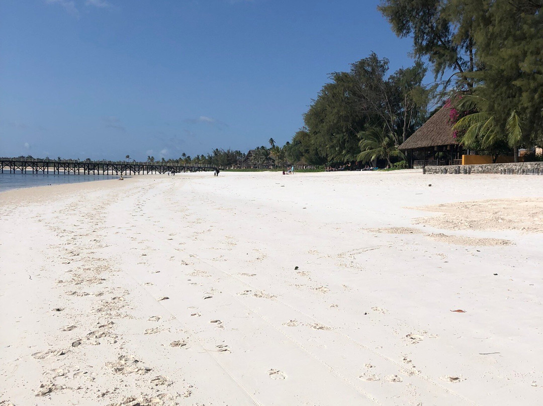 Michamvi Beach-米查维必去景点