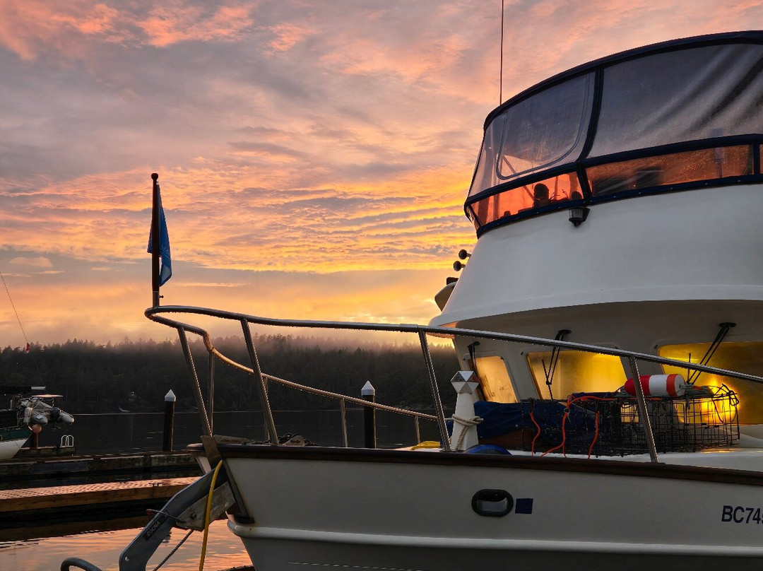 Poets Cove Marina-Bedwell Harbour必去景点