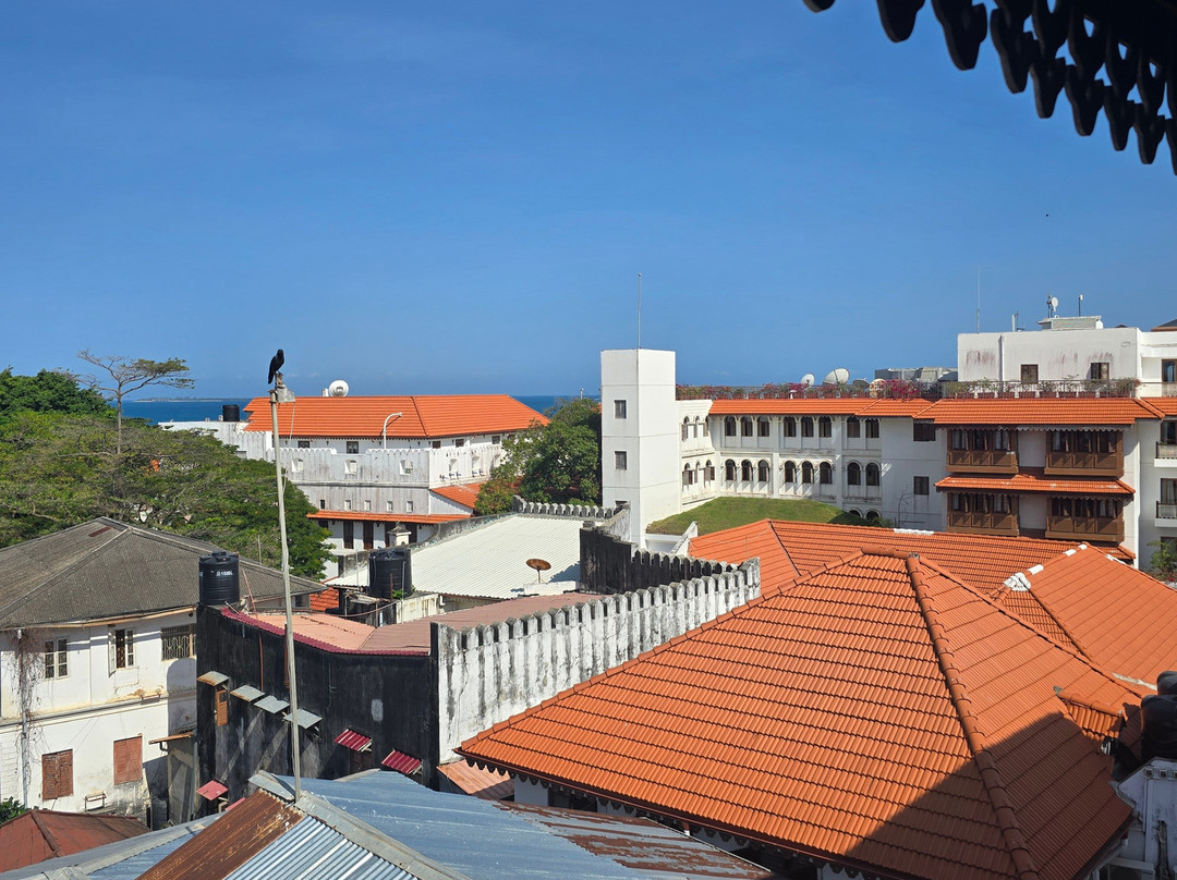 Spice Tree by Turaco主图