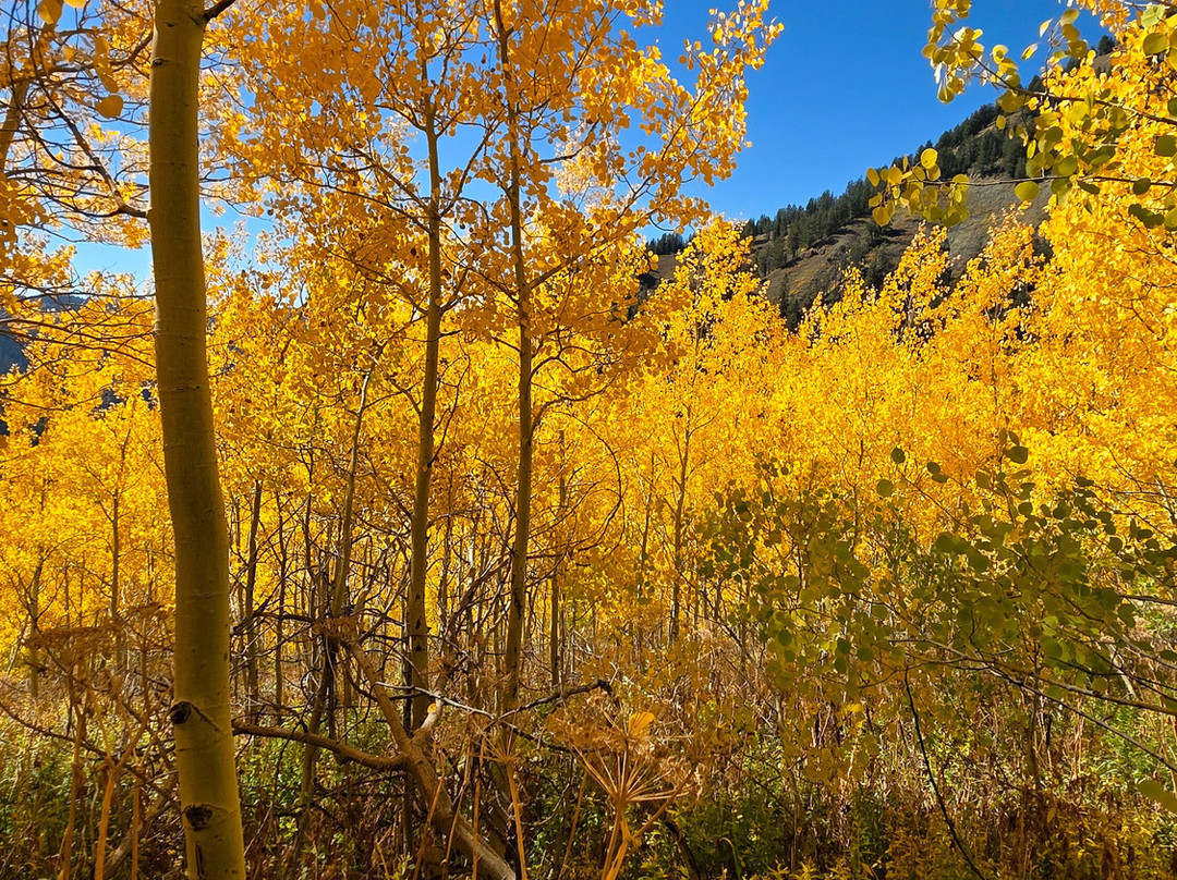 The Hole Hiking Experience-杰克逊必去景点