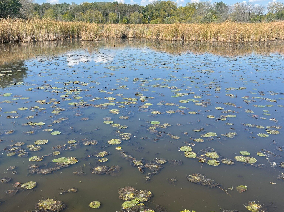 McDonald Woods Forest Preserve-Lake Villa必去景点