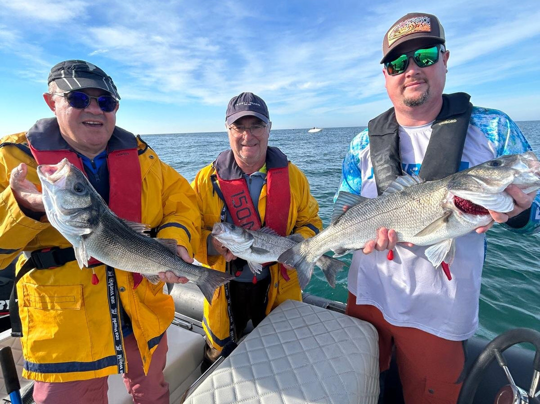 Vendeepechemer-Soullans必去景点