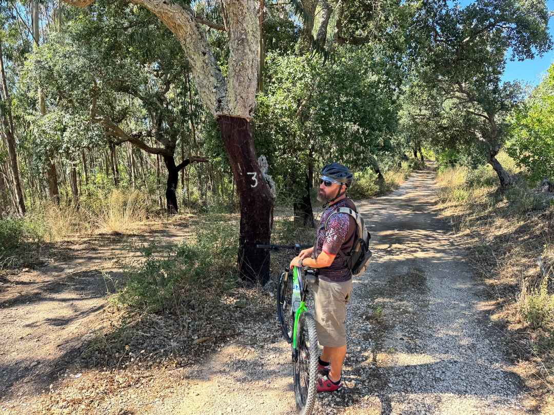 Algarve Outdoor Tours-Mexilhoeira Grande必去景点