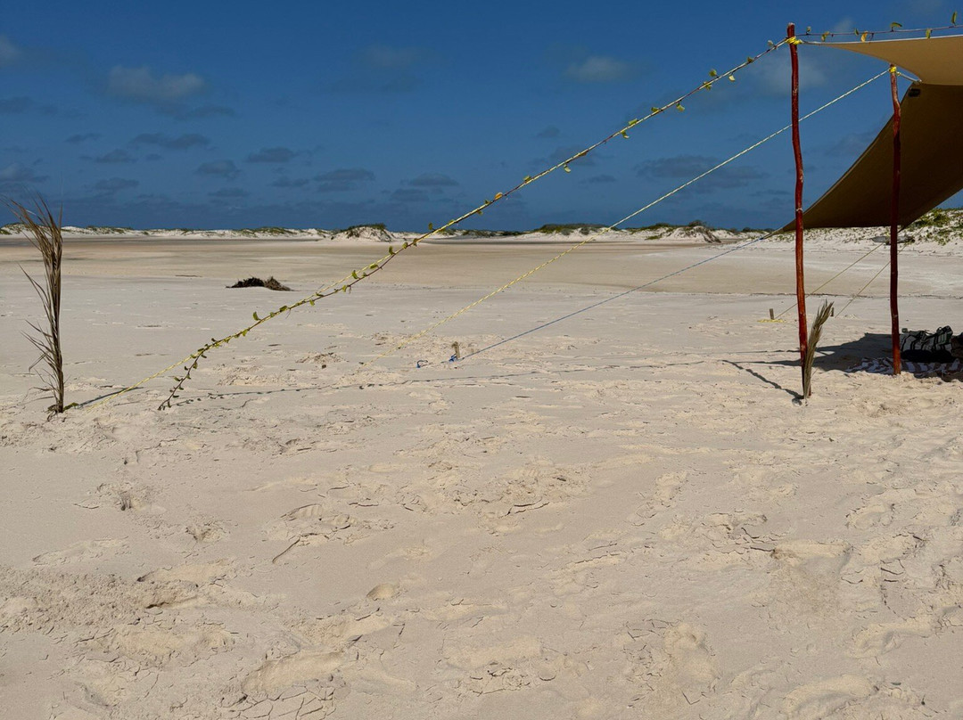 Wild Africa Ocean Safaris-Vilanculos必去景点