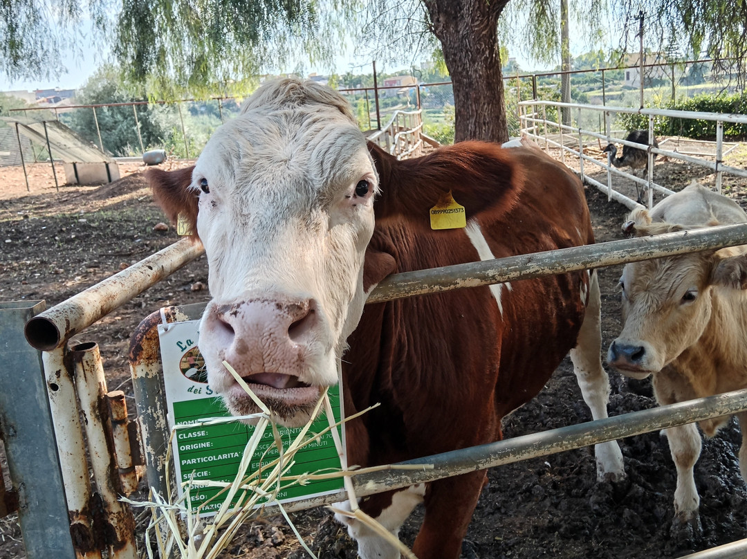 La Fattoria Dei Salari-Floridia必去景点