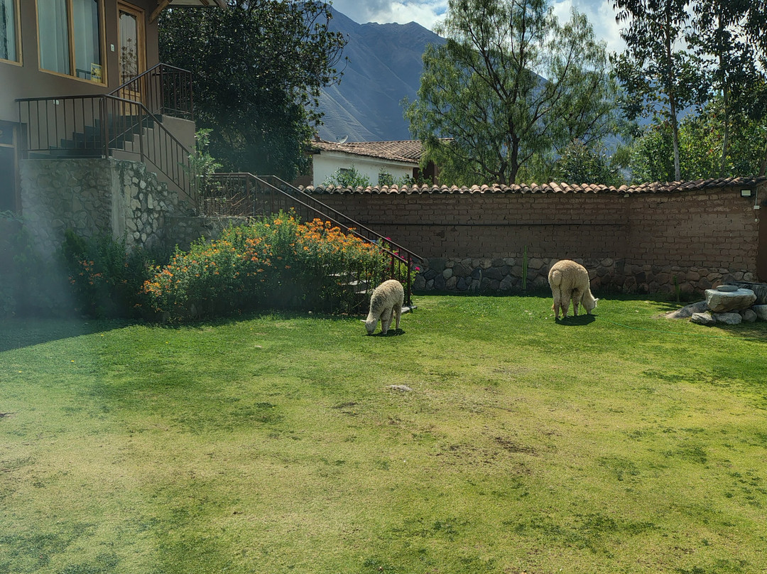 Lizzy Wasi Boutique Hotel主图