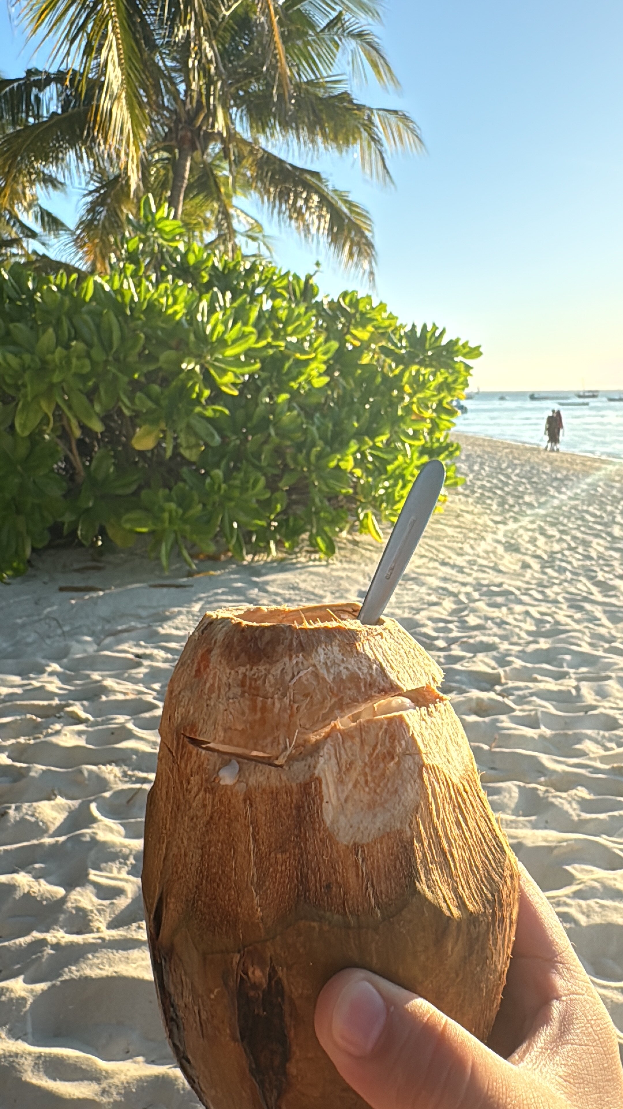 Zuri Zanzibar-官方