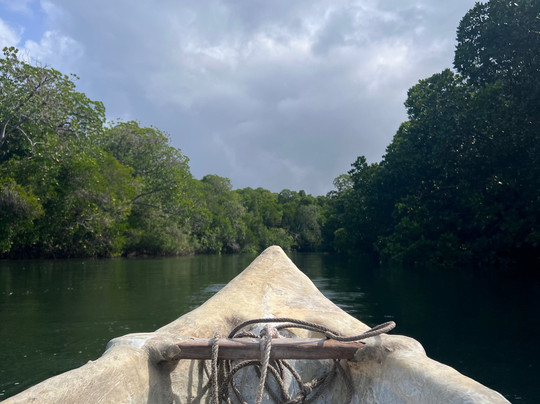 Ricciolino Tours and Safaris Kenya-瓦塔木必去景点