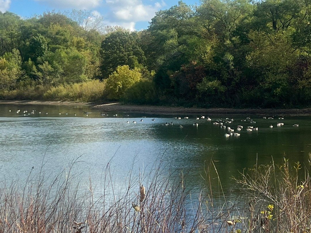 Van Patten Woods Forest Preserve-Wadsworth必去景点