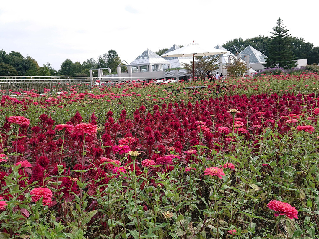 Gunma Flower Park-前桥县必去景点
