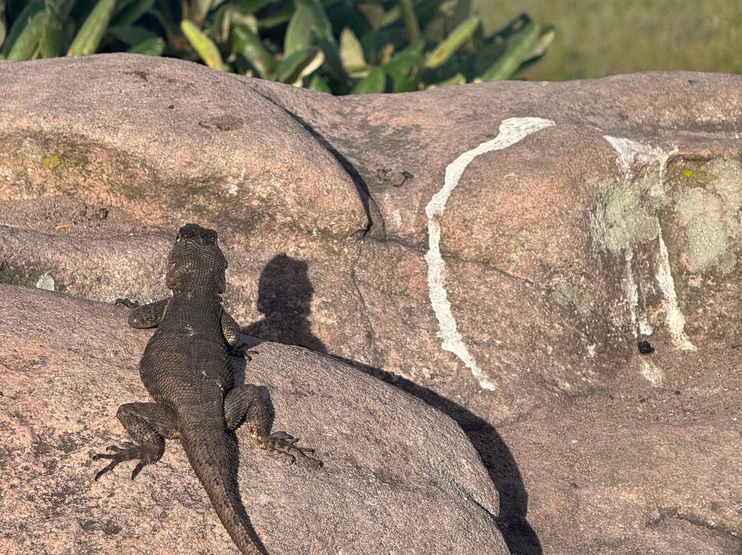 Saulo Trekking - Agencia de Turismo.-Vale do Capao必去景点