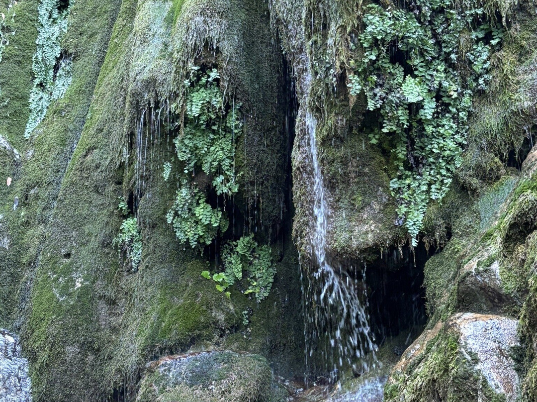 Rose Valley Falls Trail-奥海必去景点