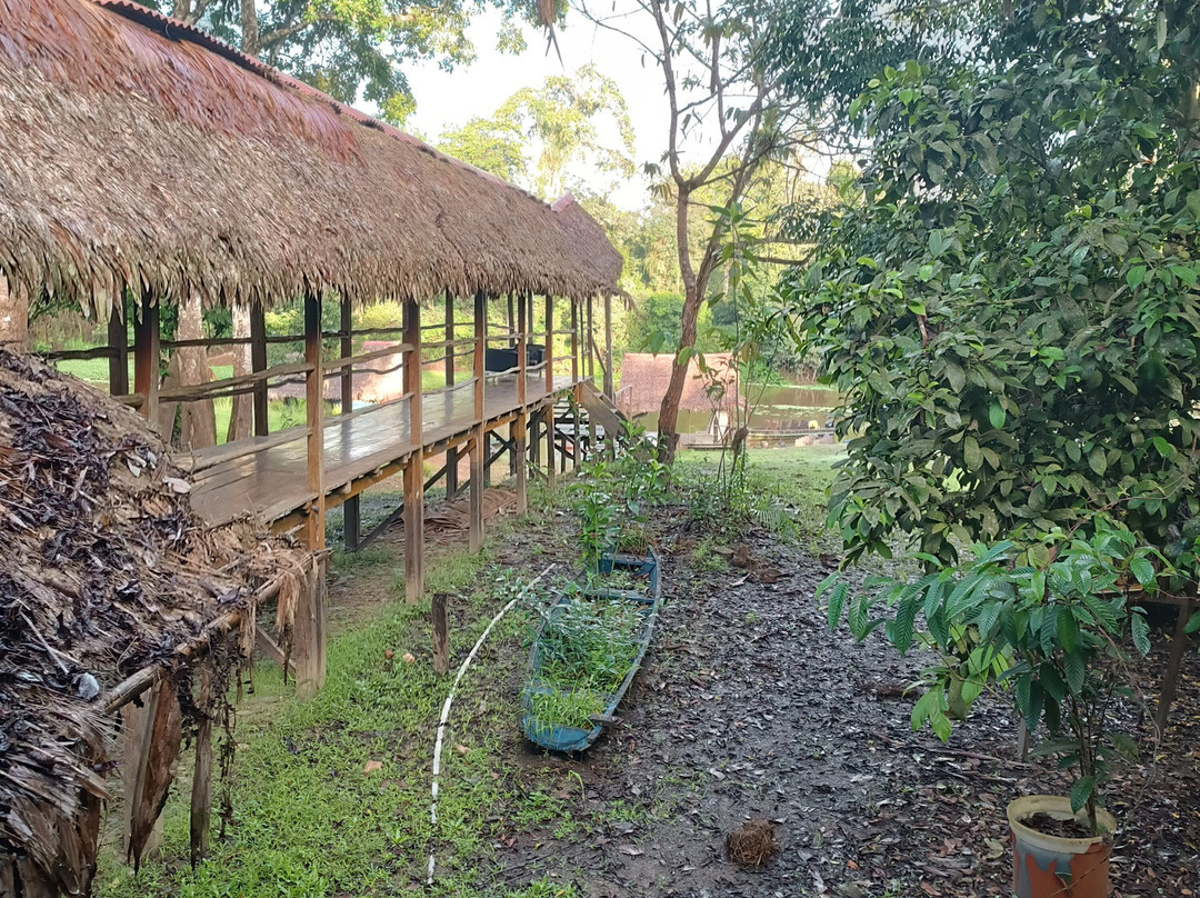 Muyuna Amazon Lodge Experience-伊基托斯必去景点