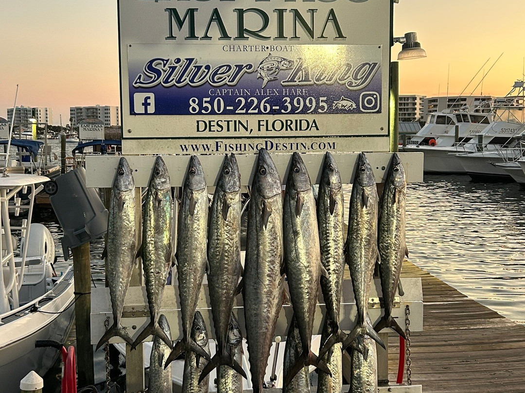 Silver King Charters of Destin-Sandestin必去景点