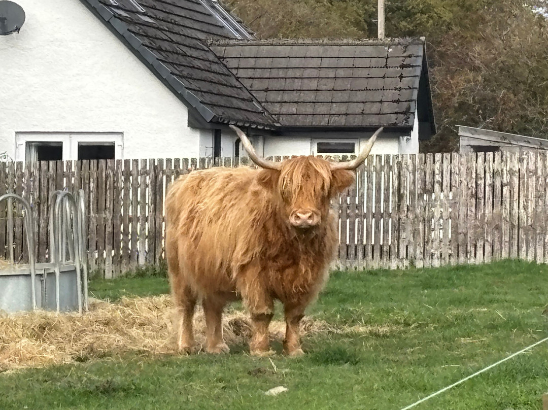 Scotland Taxi Tours-Invergordon必去景点
