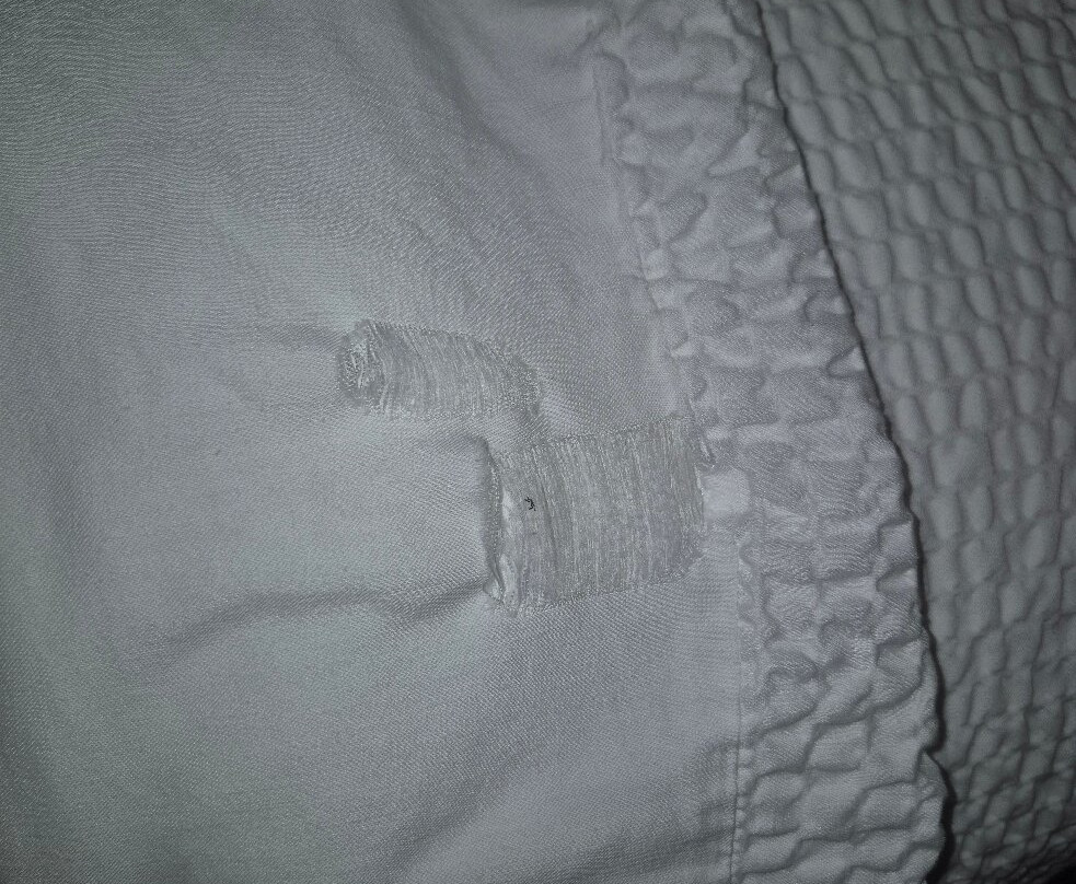 Holiday Inn Express Voorhees - Mt. Laurel By Ihg主图