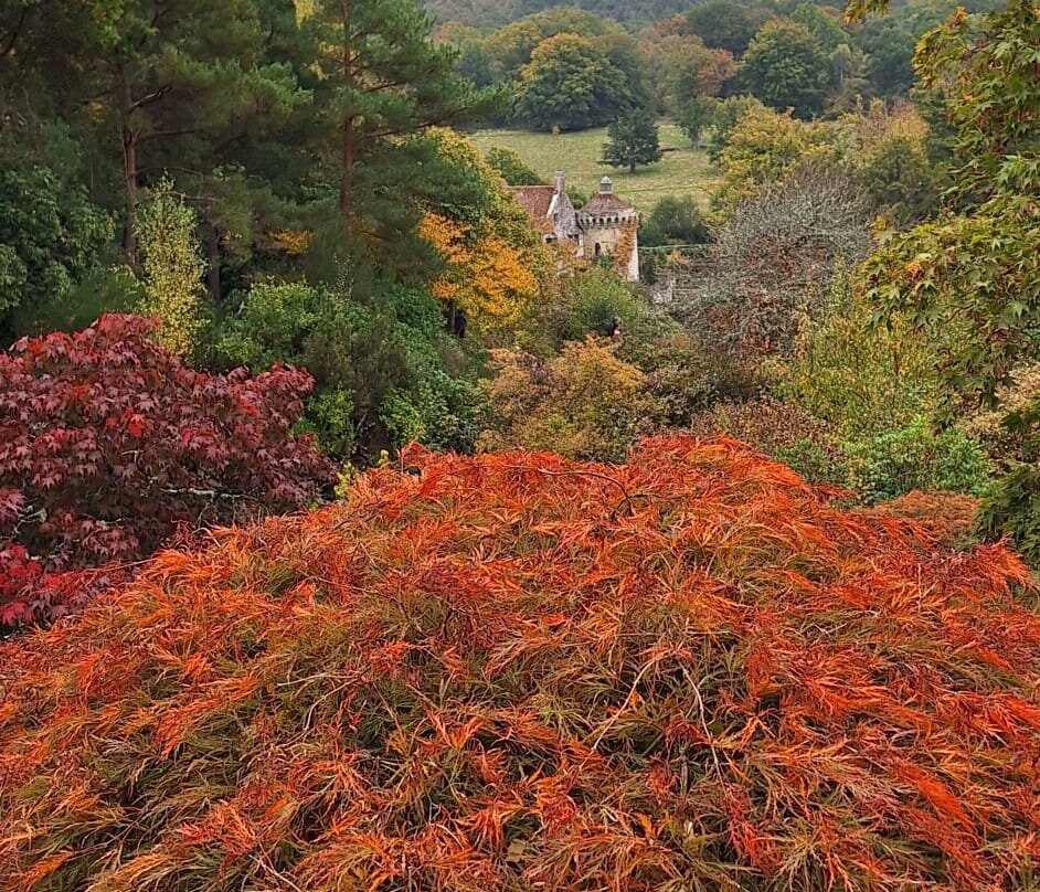 Scotney Castle-皇家滕布里奇韦尔斯必去景点