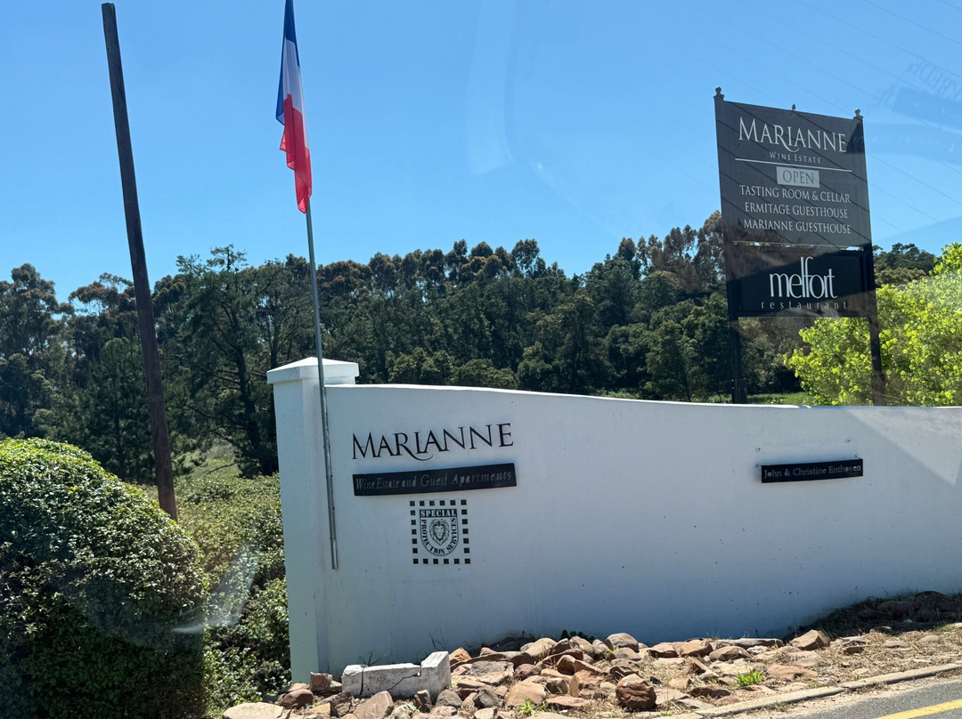 Marianne Wine Estate-斯泰伦博斯必去景点