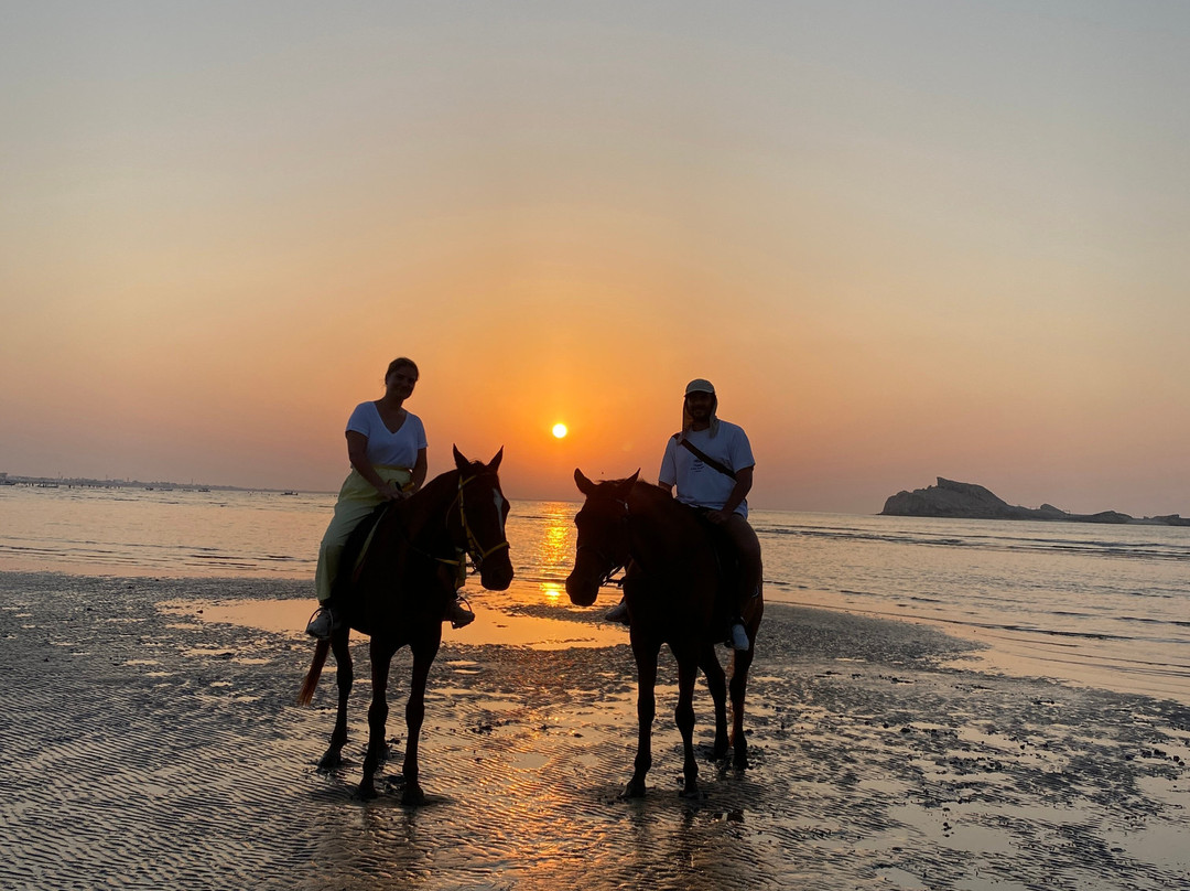 Horse Riding Oman-Barka必去景点
