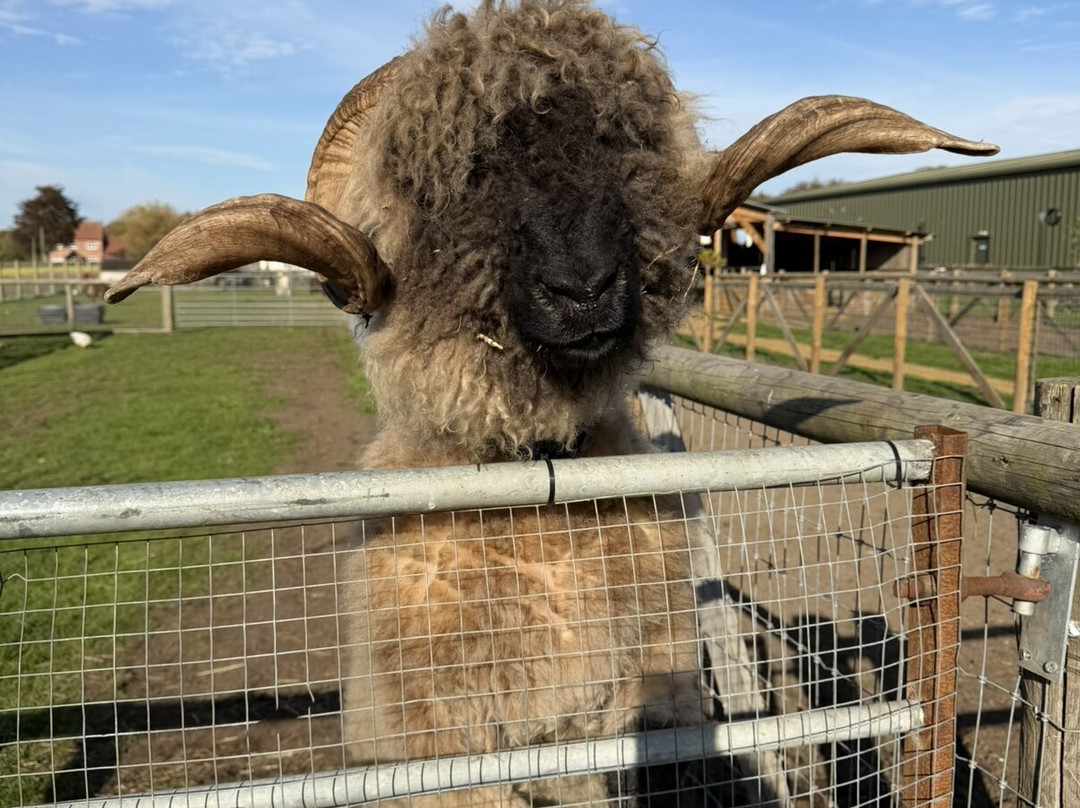 Milestone Ranch Country Park-唐克斯特必去景点