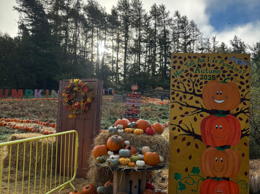 Calderglen Country Park-东基尔布赖德必去景点