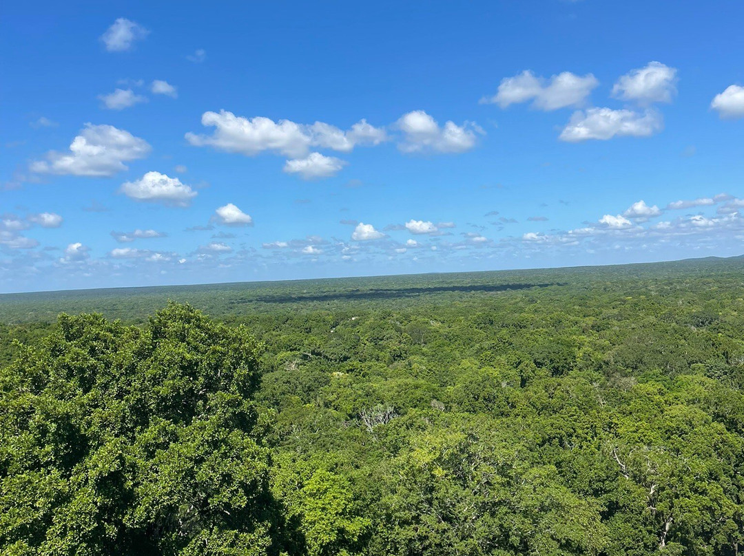 Calakmul Adventures day tours-Xpujil Town必去景点