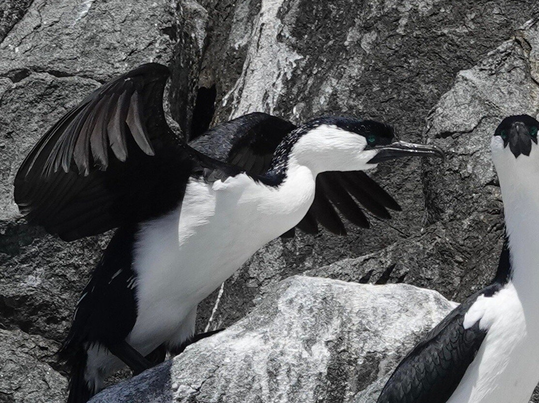 Wild Ocean Tasmania-伊格尔霍克内克必去景点
