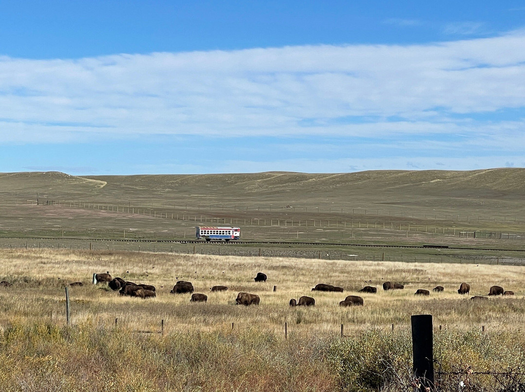 Terry Bison Ranch Resort-夏延必去景点