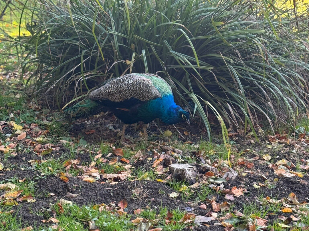 Maison Grandsire - Logis de Charme主图