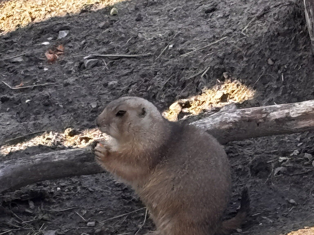 Bio-topia-敦克尔克必去景点