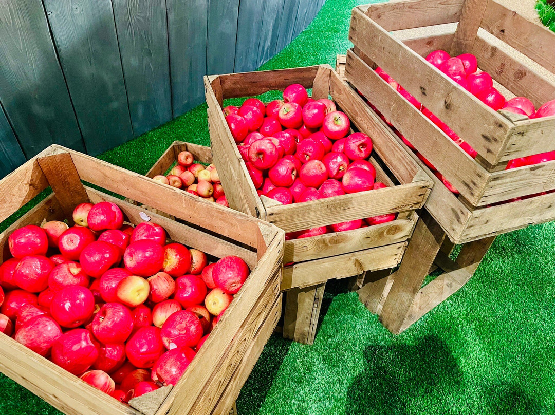 Ramseier Erlebniswelt-苏尔塞必去景点