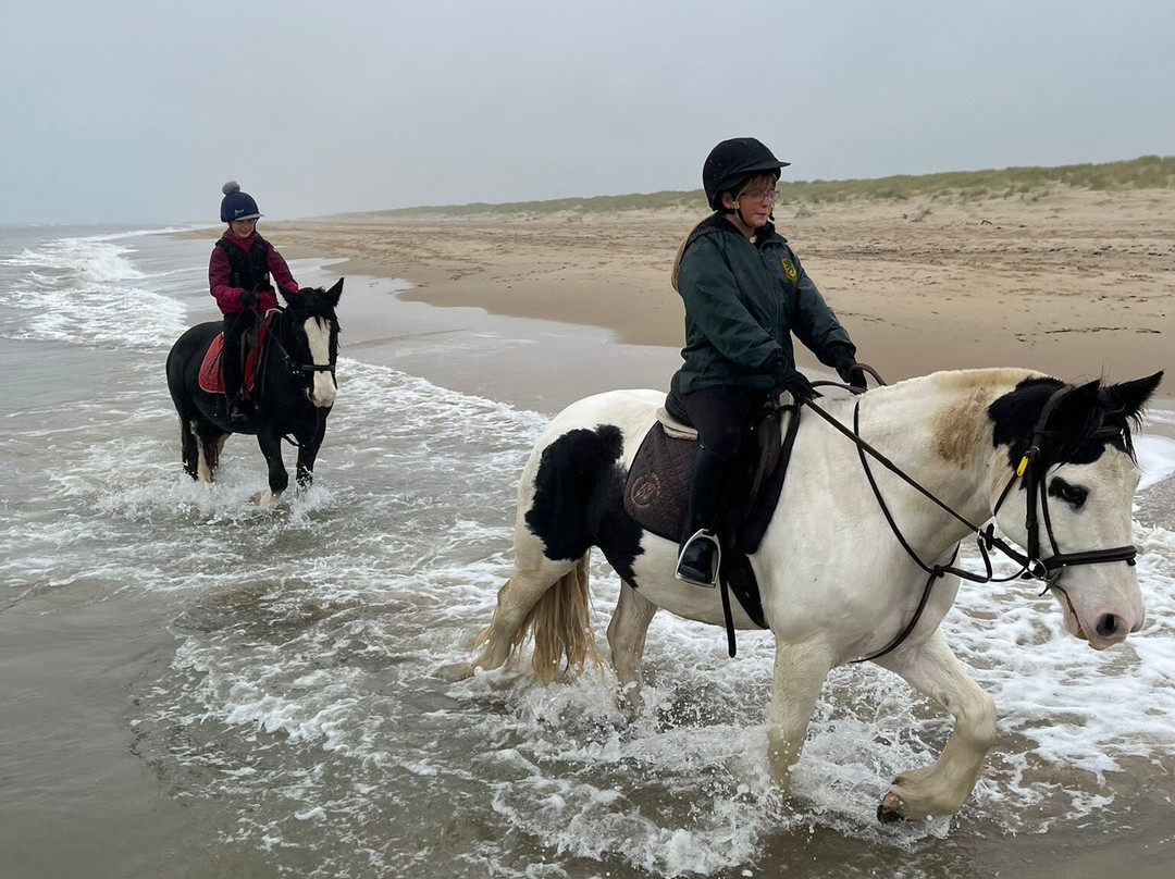 Shrule Equestrian Centre-Gorey必去景点