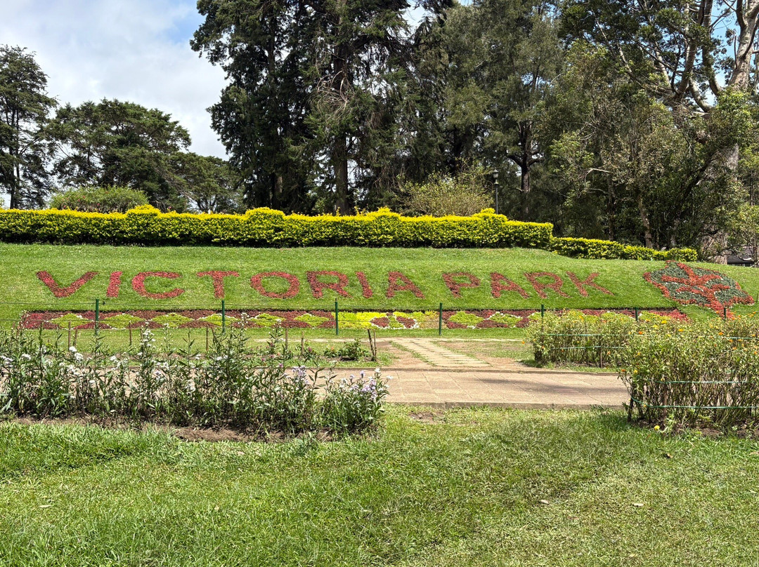 维多利亚公园-奴娃拉伊利雅必去景点
