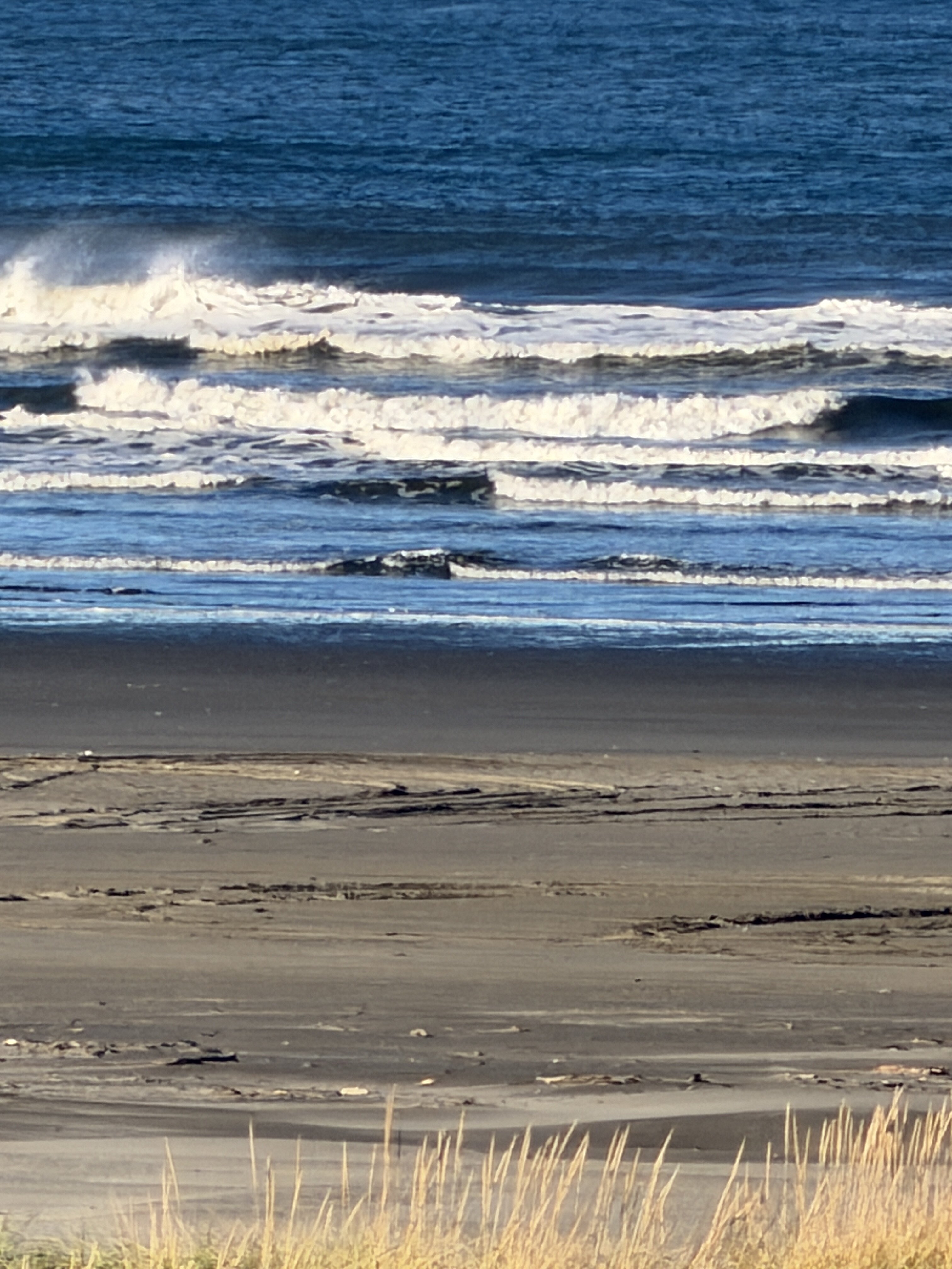 Moonstone Beach Motel-官方