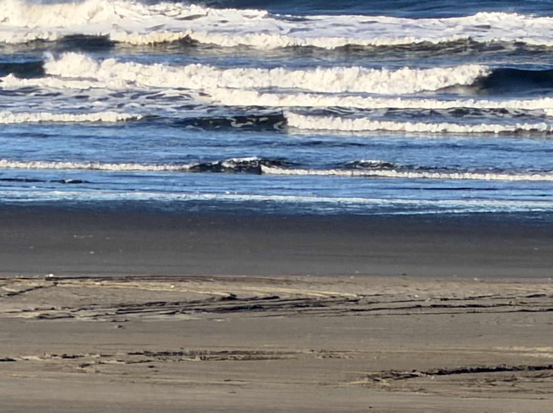 Moonstone Beach Motel主图